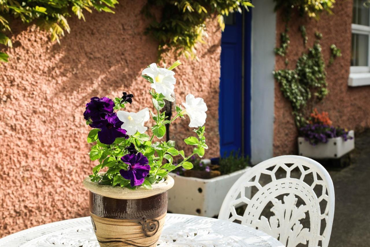 Wisteria Cottage Ballyconnell  Bagian luar foto